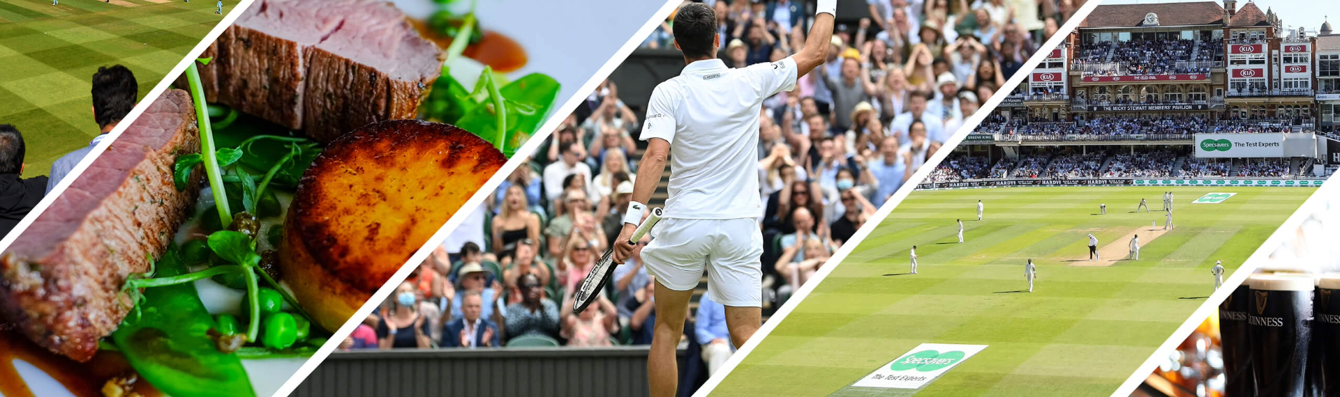 Integrating Paid and Organic Search for Maximum Visibility